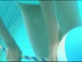 北村ひとみプールで水色の水着おっぱいの谷間がエロい動画