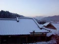 積雪in都城（我が家 南側） 2010.1.13 AM9:00