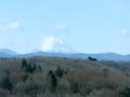 丹沢山系　富士山　2011/1/30