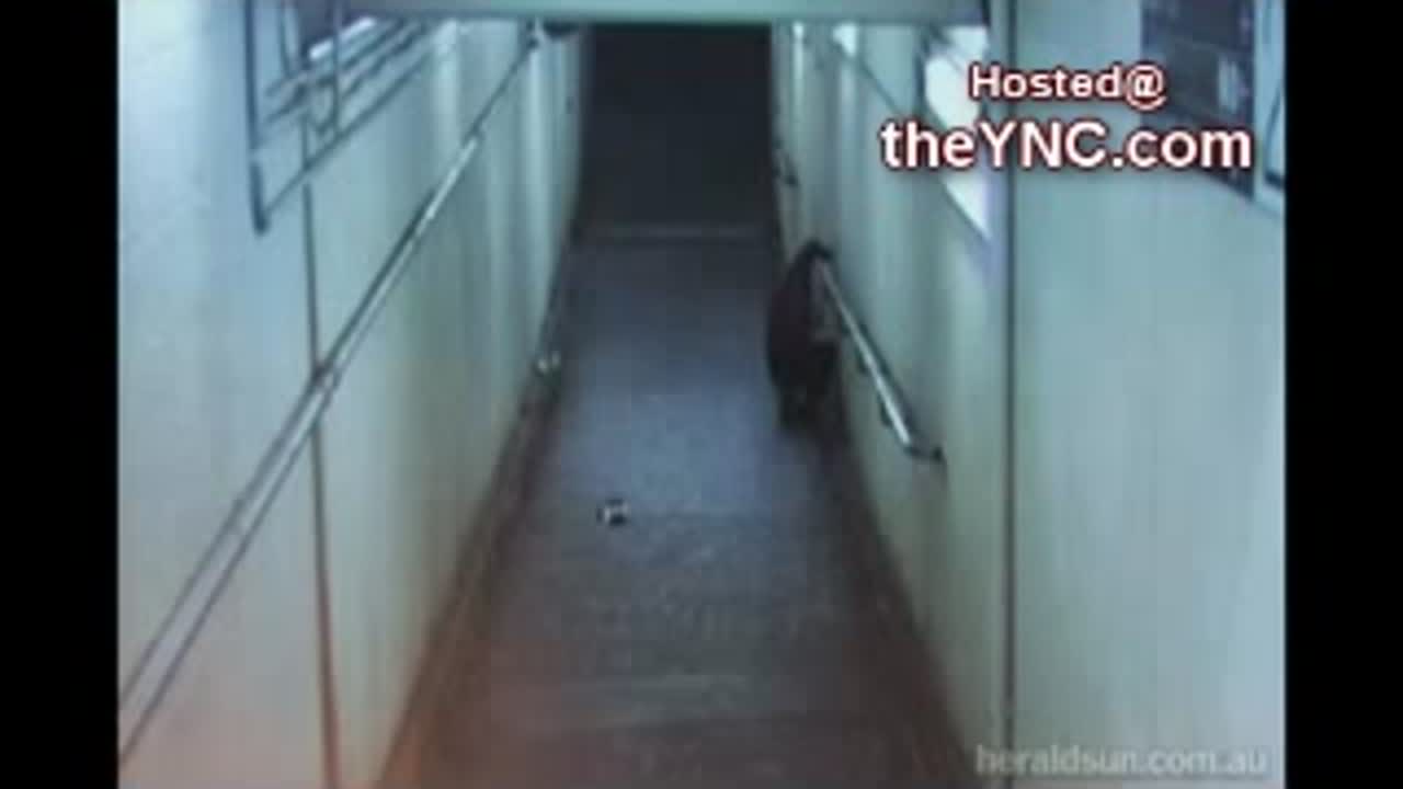 黒人3人組が通りすがりの白人をフルボッコ！